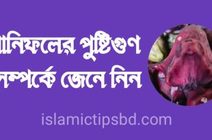 পানিফল_খাওয়ার_উপকারিতা_পানি_ফলের_পুষ্টিগুণ