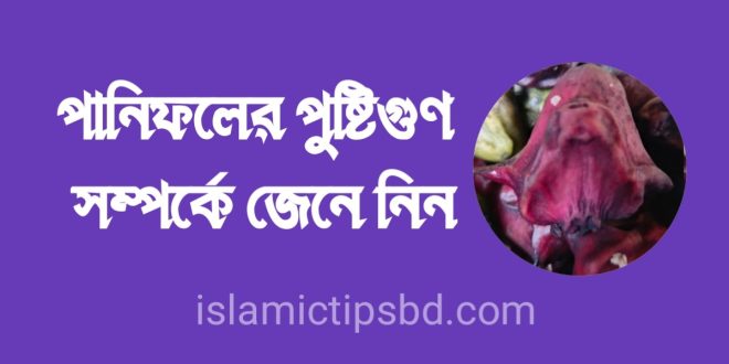 পানিফল_খাওয়ার_উপকারিতা_পানি_ফলের_পুষ্টিগুণ