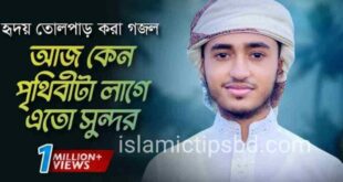 আজ কেন পৃথিবীটা লাগে এত সুন্দর