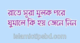 রাতে সুরা মুলক পড়ার ফজিলত