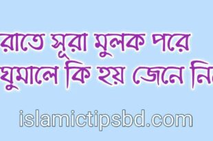 রাতে সুরা মুলক পড়ার ফজিলত