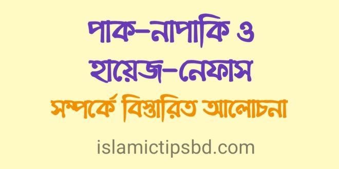 হায়েজ অবস্থায় কুরআন পড়ার বিধান