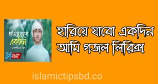 হারিয়ে যাবো একদিন আমি লিরিক্স