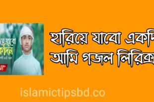 হারিয়ে যাবো একদিন আমি লিরিক্স