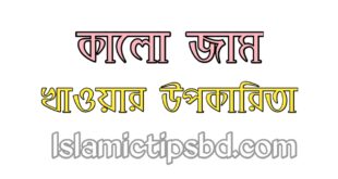 জামের বিচির উপকারিতা ও অপকারিতা