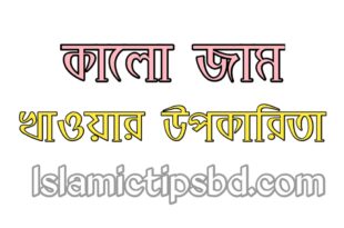 জামের বিচির উপকারিতা ও অপকারিতা