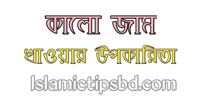 জামের বিচির উপকারিতা ও অপকারিতা