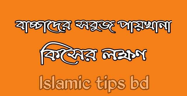 বাচ্চাদের সবুজ পাতলা পায়খানা হলে করণীয়