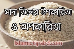 সাদা তিল খাওয়ার নিয়ম ও উপকারিতা