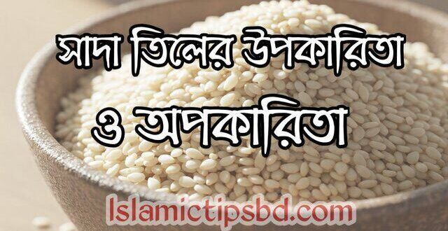 সাদা তিল খাওয়ার নিয়ম ও উপকারিতা