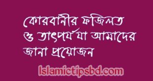 কোরবানীর ফজিলত ও তাৎপর্য যা আমাদের জানা প্রয়োজন