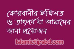 কোরবানীর ফজিলত ও তাৎপর্য যা আমাদের জানা প্রয়োজন