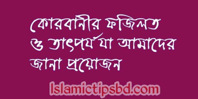 কোরবানীর ফজিলত ও তাৎপর্য যা আমাদের জানা প্রয়োজন