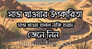 শান্ডা খাওয়ার উপকারিতা এবং শান্ডা খাওয়া হালাল নাকি হারাম