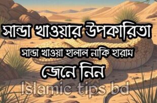 শান্ডা খাওয়ার উপকারিতা এবং শান্ডা খাওয়া হালাল নাকি হারাম