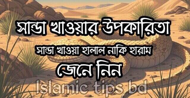 শান্ডা খাওয়ার উপকারিতা এবং শান্ডা খাওয়া হালাল নাকি হারাম